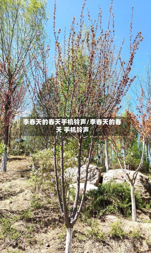 李春天的春天手机铃声/李春天的春天 手机铃声-第2张图片