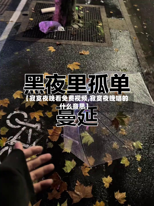 【寂寞夜晚看免费视频,寂寞夜晚唱的什么意思】-第3张图片