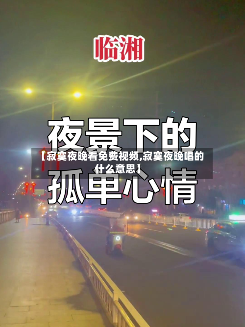 【寂寞夜晚看免费视频,寂寞夜晚唱的什么意思】-第2张图片