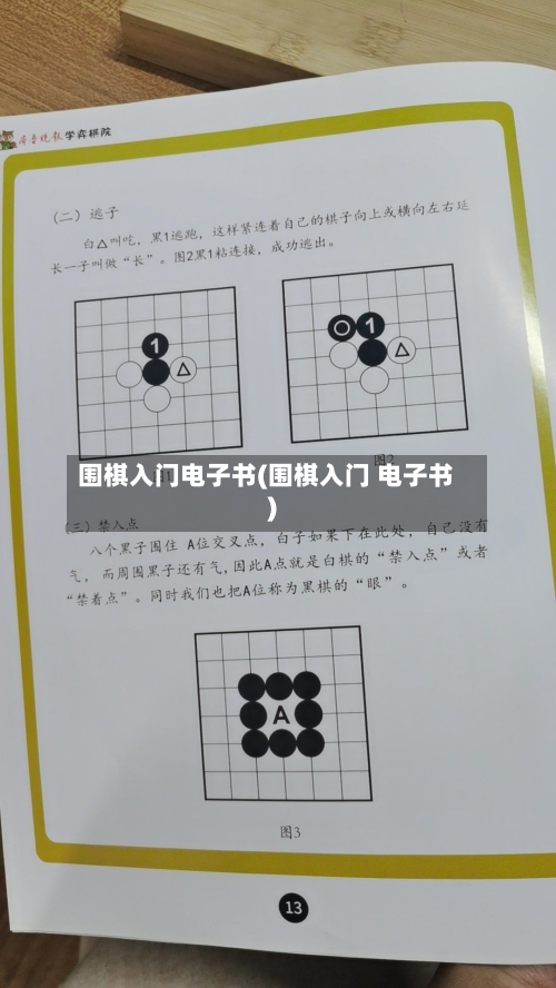 围棋入门电子书(围棋入门 电子书)