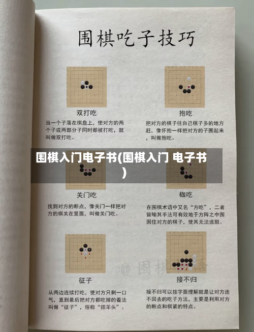 围棋入门电子书(围棋入门 电子书)-第3张图片