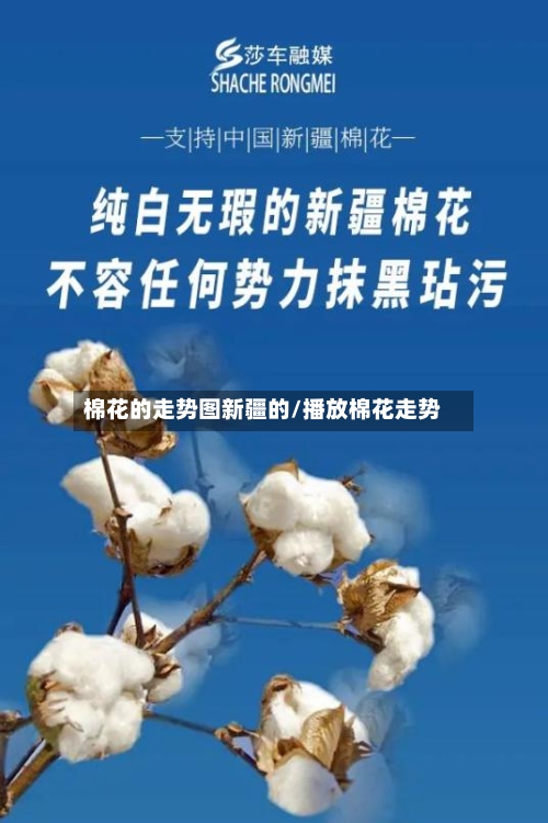 棉花的走势图新疆的/播放棉花走势