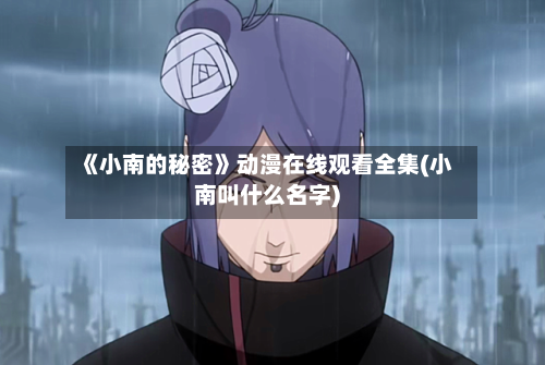 《小南的秘密》动漫在线观看全集(小南叫什么名字)-第2张图片
