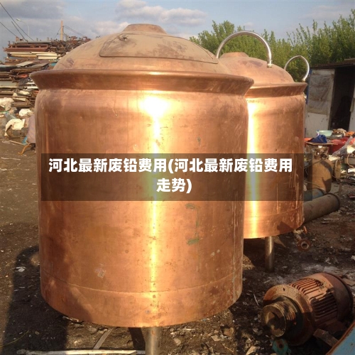 河北最新废铅费用(河北最新废铅费用走势)