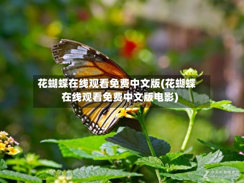 花蝴蝶在线观看免费中文版(花蝴蝶在线观看免费中文版电影)