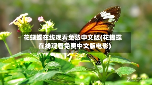 花蝴蝶在线观看免费中文版(花蝴蝶在线观看免费中文版电影)-第3张图片