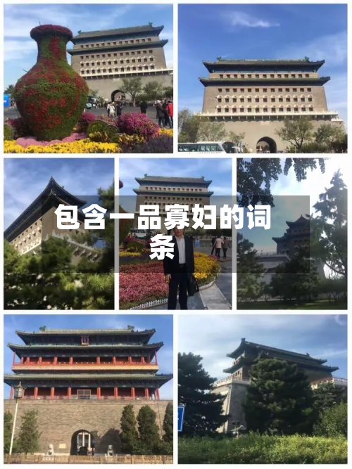包含一品寡妇的词条-第2张图片