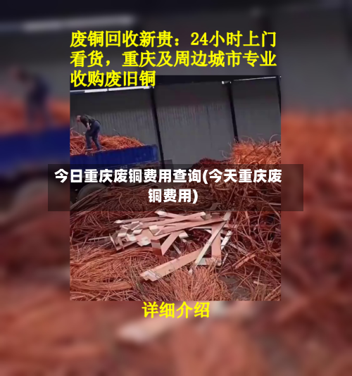 今日重庆废铜费用查询(今天重庆废铜费用)-第2张图片