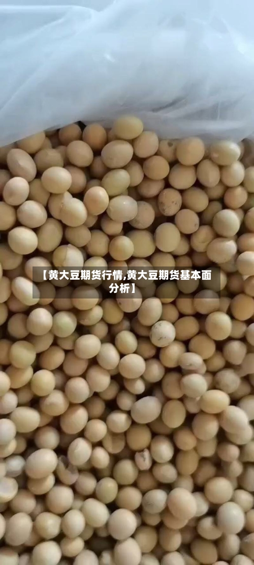 【黄大豆期货行情,黄大豆期货基本面分析】