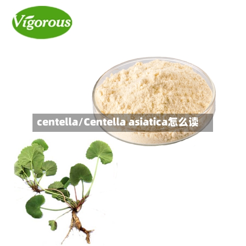 centella/Centella asiatica怎么读-第2张图片