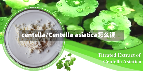 centella/Centella asiatica怎么读