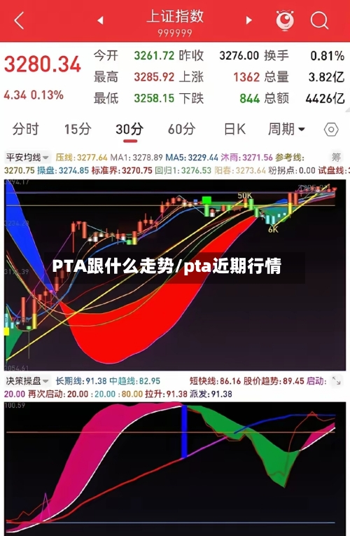 PTA跟什么走势/pta近期行情