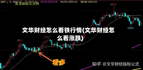 文华财经怎么看铁行情(文华财经怎么看涨跌)