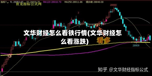 文华财经怎么看铁行情(文华财经怎么看涨跌)-第2张图片