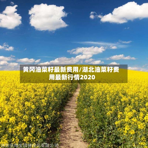 黄冈油菜籽最新费用/湖北油菜籽费用最新行情2020-第2张图片