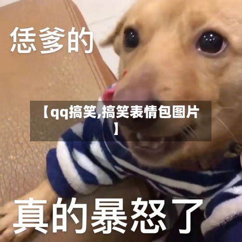 【qq搞笑,搞笑表情包图片】-第3张图片
