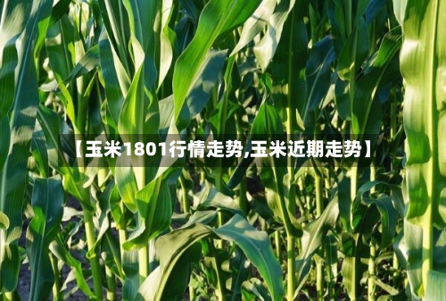 【玉米1801行情走势,玉米近期走势】