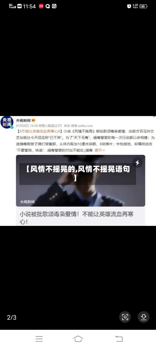 【风情不摇晃的,风情不摇晃语句】