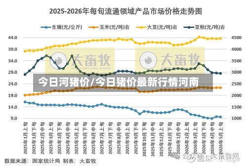 今日河猪价/今日猪价最新行情河南