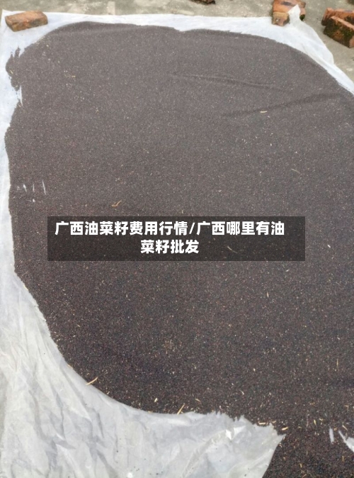 广西油菜籽费用行情/广西哪里有油菜籽批发-第3张图片