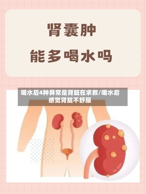 喝水后4种异常是肾脏在求救/喝水后感觉肾脏不舒服-第3张图片