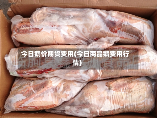 今日鹅价期货费用(今日商品鹅费用行情)-第2张图片