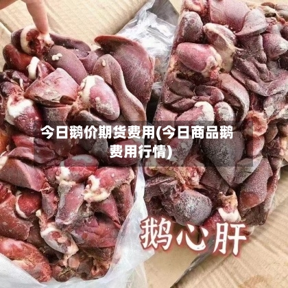 今日鹅价期货费用(今日商品鹅费用行情)