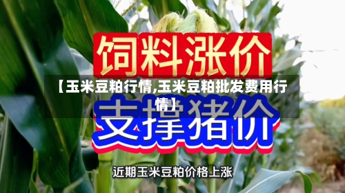 【玉米豆粕行情,玉米豆粕批发费用行情】