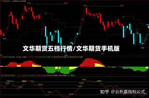 文华期货五档行情/文华期货手机版-第2张图片