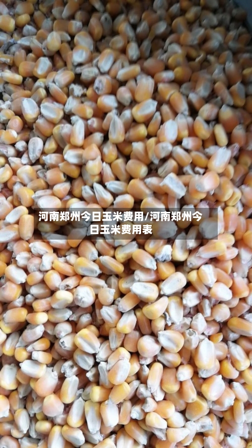 河南郑州今日玉米费用/河南郑州今日玉米费用表