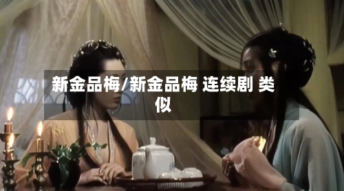 新金品梅/新金品梅 连续剧 类似