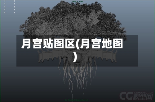 月宫贴图区(月宫地图)-第2张图片