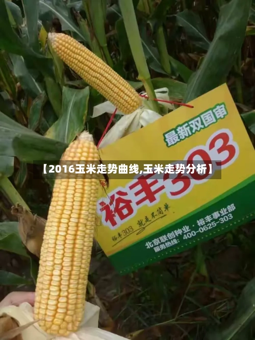 【2016玉米走势曲线,玉米走势分析】