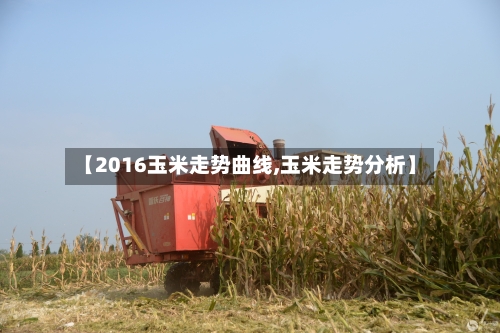 【2016玉米走势曲线,玉米走势分析】-第2张图片