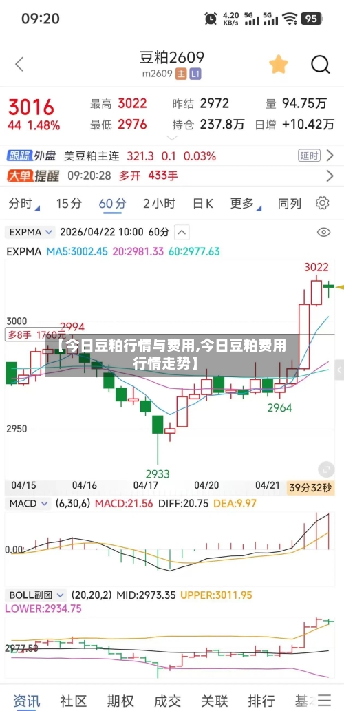 【今日豆粕行情与费用,今日豆粕费用行情走势】-第3张图片