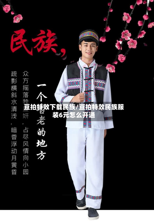 豆拍特效下载民族/豆拍特效民族服装6元怎么开通-第2张图片