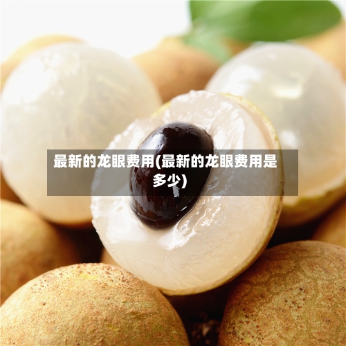 最新的龙眼费用(最新的龙眼费用是多少)
