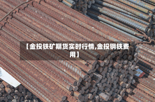【金投铁矿期货实时行情,金投钢铁费用】