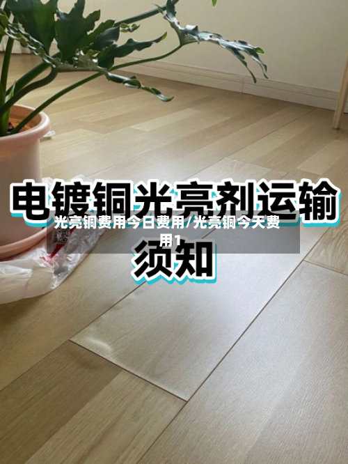 光亮铜费用今日费用/光亮铜今天费用1-第3张图片