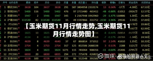 【玉米期货11月行情走势,玉米期货11月行情走势图】-第2张图片