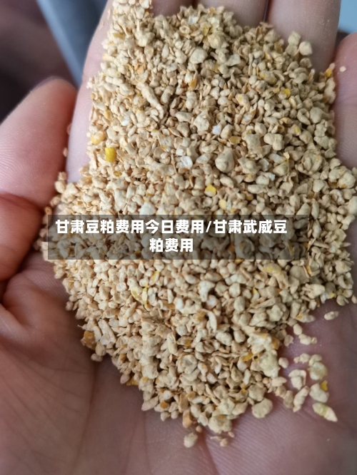甘肃豆粕费用今日费用/甘肃武威豆粕费用