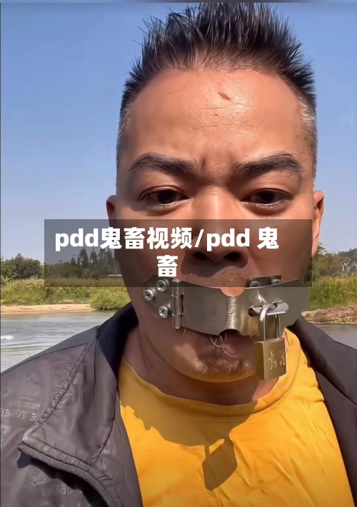 pdd鬼畜视频/pdd 鬼畜