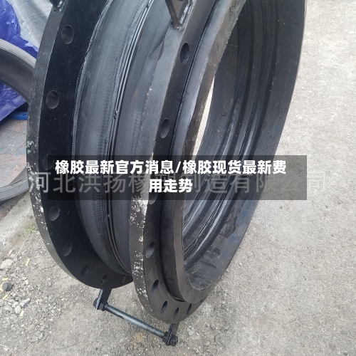 橡胶最新官方消息/橡胶现货最新费用走势-第2张图片