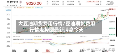 大豆油期货费用行情/豆油期货费用行情走势图最新消息今天-第2张图片