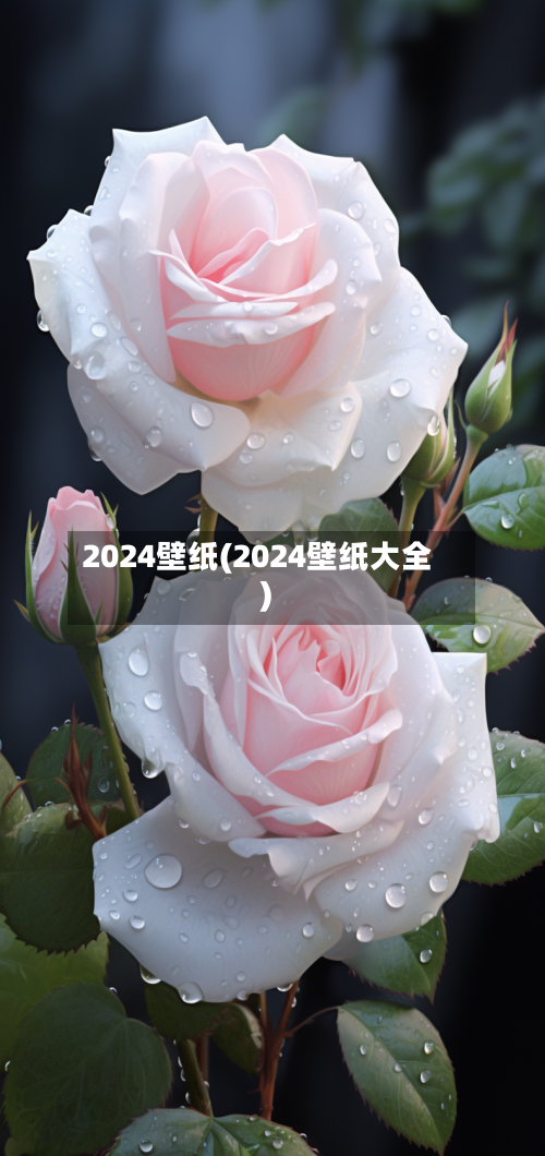 2024壁纸(2024壁纸大全)-第3张图片