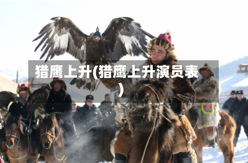 猎鹰上升(猎鹰上升演员表)-第2张图片