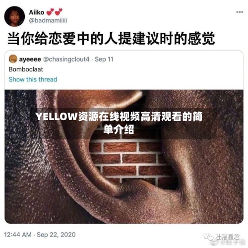 YELLOW资源在线视频高清观看的简单介绍-第3张图片
