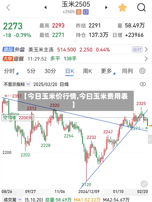 【今日玉米价行情,今曰玉米费用表】-第2张图片
