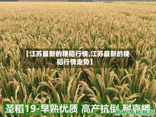 【江苏最新的粳稻行情,江苏最新的粳稻行情走势】-第2张图片