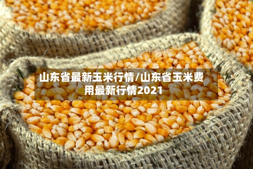 山东省最新玉米行情/山东省玉米费用最新行情2021